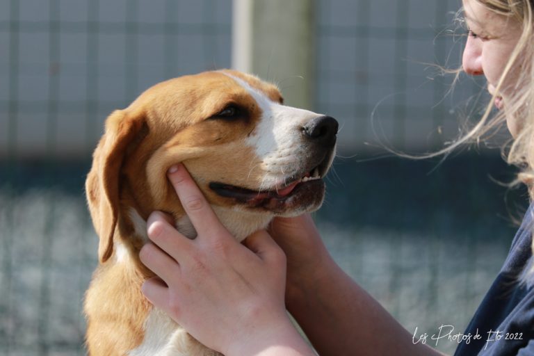 Portrait chien et maitresse