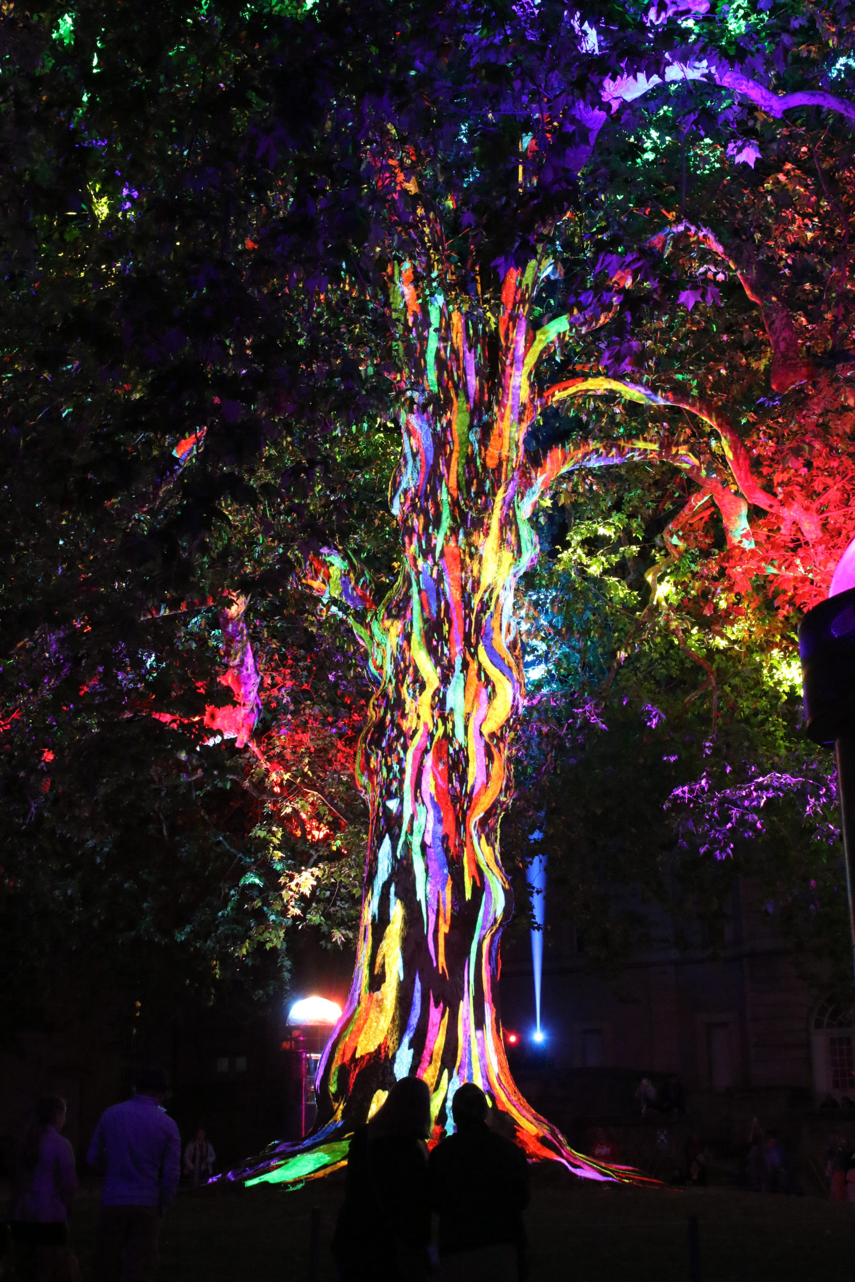 Arbre en liberté Bayeux
