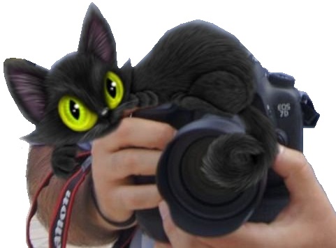 Les photos de Flo